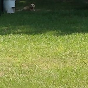 Meet your Posher, Kendra